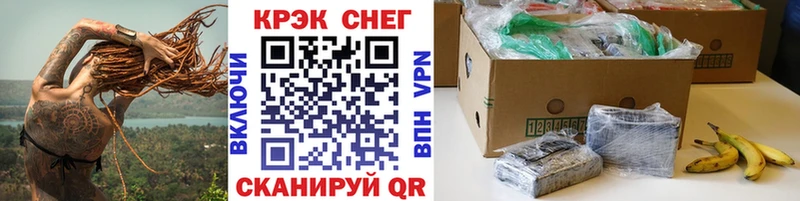 COCAIN Fish Scale  где можно купить   Судогда 