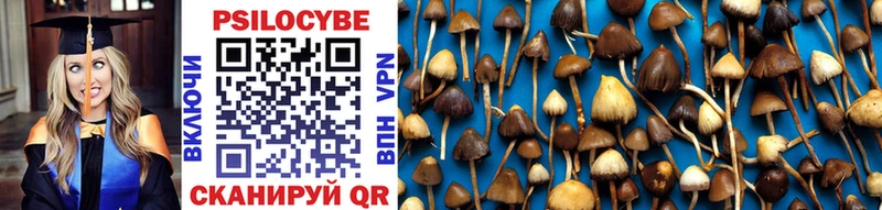 Псилоцибиновые грибы MAGIC MUSHROOMS  кракен ССЫЛКА  Судогда 